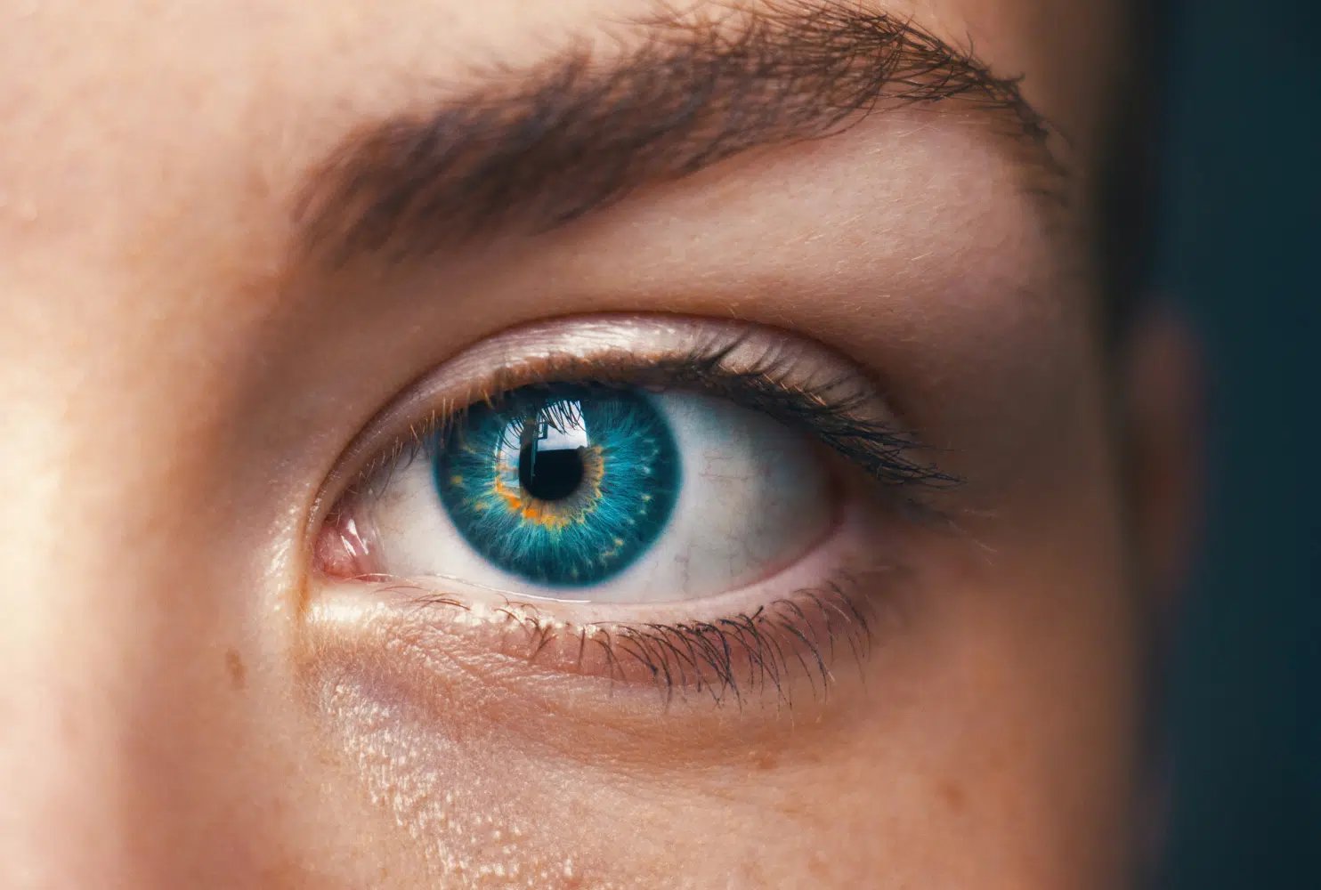 Blue Eye Close Up - Exploring New Perspectives on Intelligence and Giftedness